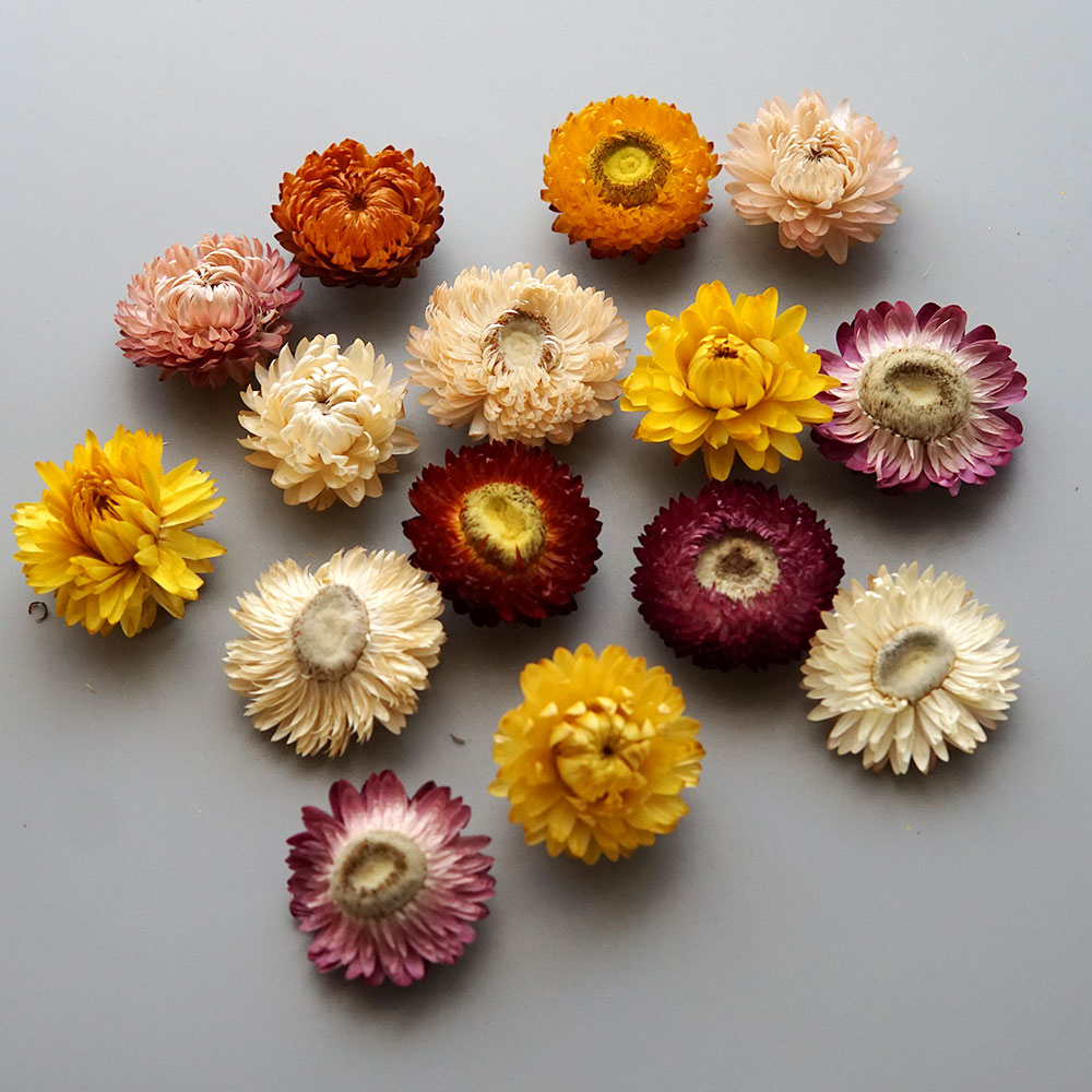 Natural Dried Colorful Chrysan - огляд і ціна Holiday Candle Set