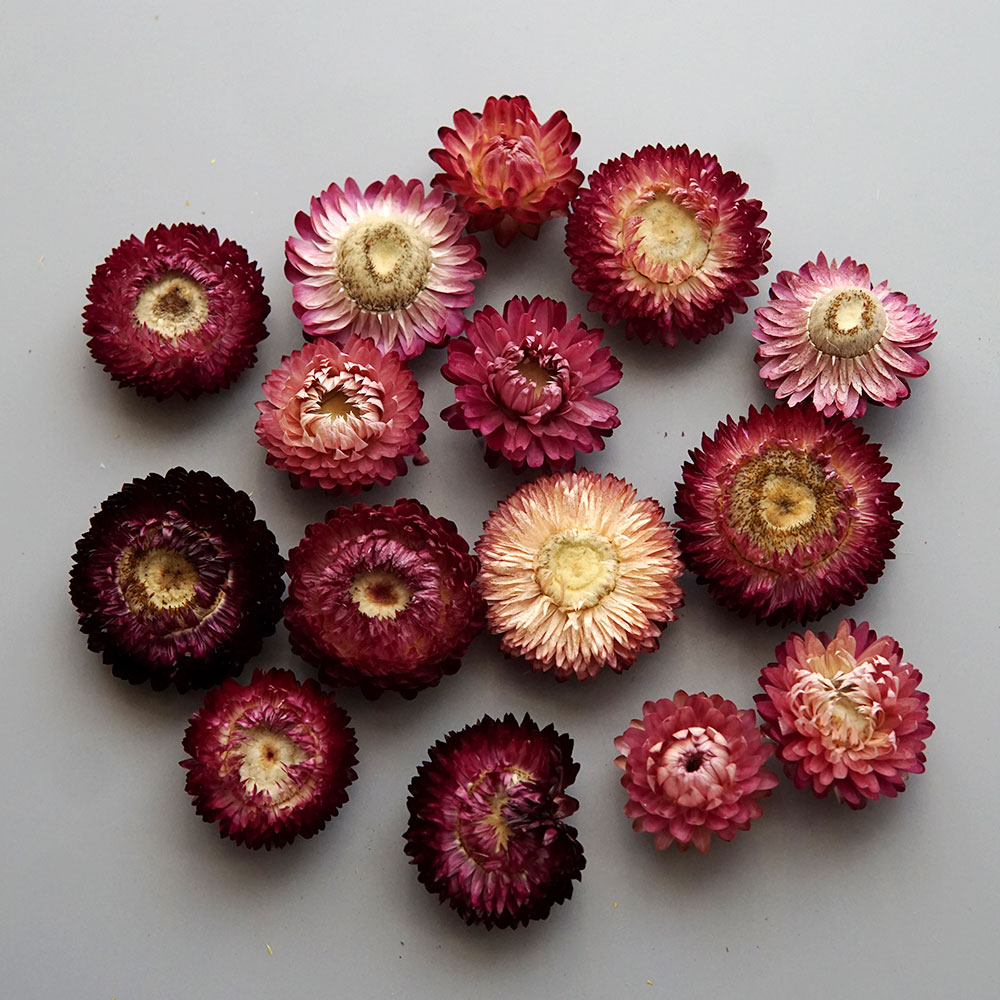 Natural Dried Colorful Chrysan - огляд і ціна Holiday Candle Set