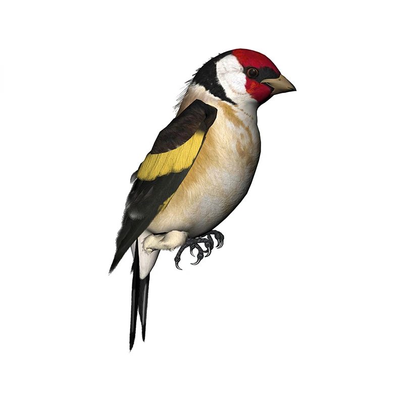 New Design for Tinsel Finches  - огляд і ціна Tinsel Garland Decoration