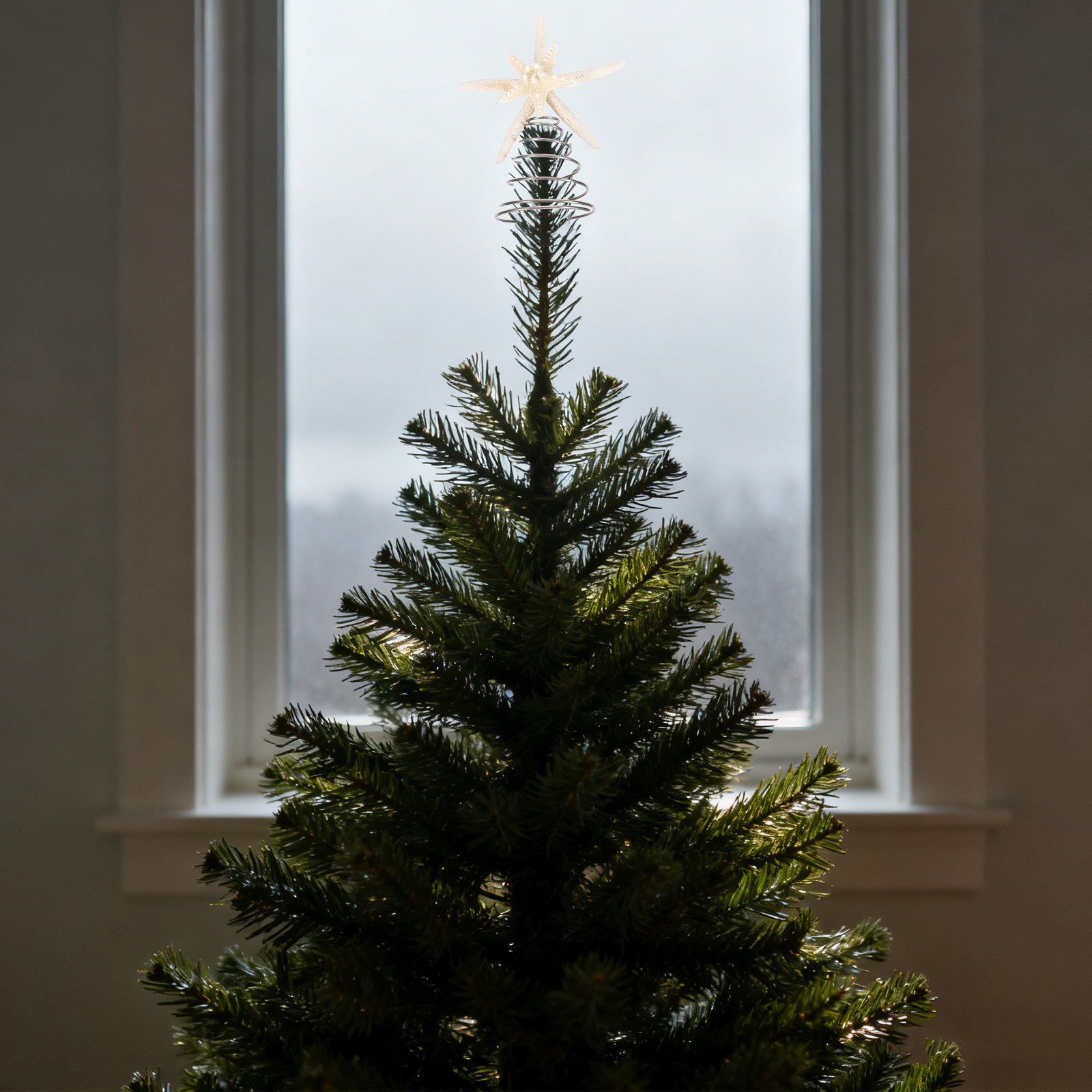Coastal Christmas Tree Topper  - огляд і ціна Star Tree Topper